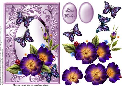 Beautiful Flora and Butterfly's in Lilac Swirl Frame