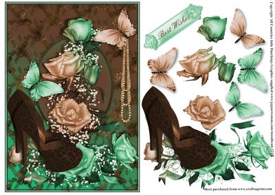 Beautiful Mint Chocolate Shoes and Roses Card Front