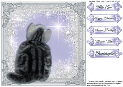 Through the Frosty Window Cat Card Topper