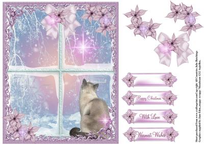 Through a Frosty Window Card Front