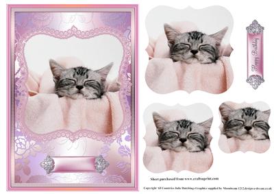 Cutest Sleeping Kitten Pyramid Card Front
