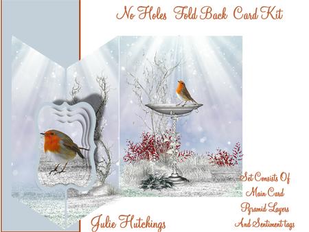 Beautiful Robin No Holes Cut and Fold Mini Kit