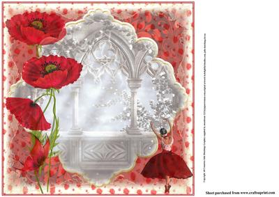 Insert to Compliment Poppy Ballet