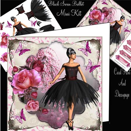 The Black Swan Ballet Mini Kit