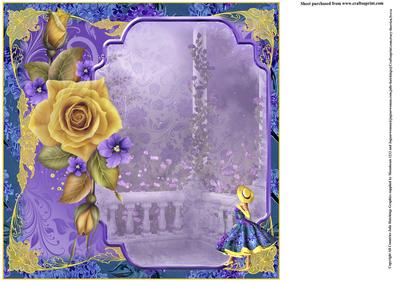 Insert to Compliment Moonlight Walk