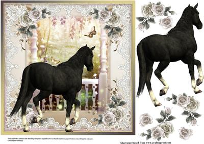 Beauty in Black Card Topper