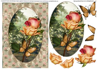 Vintage Style Apricot Rose Garden