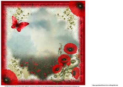 Insert to Compliment the Poppy Fields