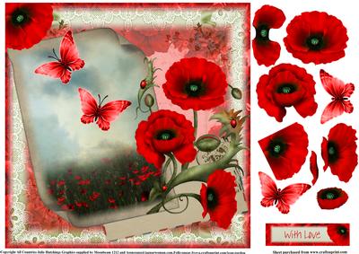 The Letter the Poppy Field