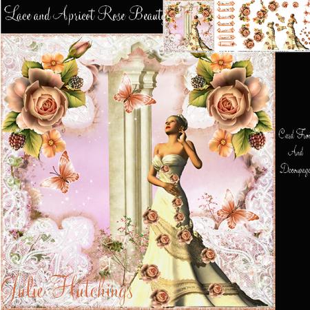 Lace and Apricot Rose Beauty Card Front Kit