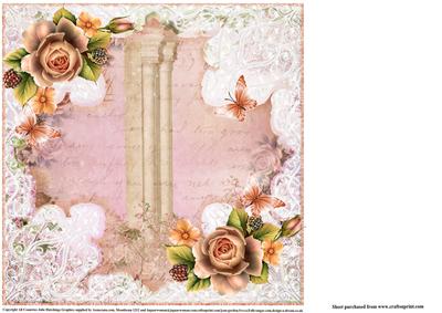 Insert to Compliment Lace and Apricot Rose