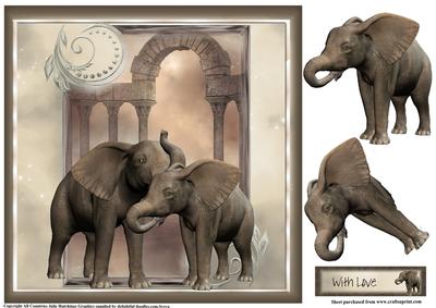 Beautiful Elephant Couple