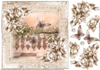 The Butterfly's