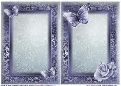 Insert to Compliment Beautiful Blue Roses and Butterfly