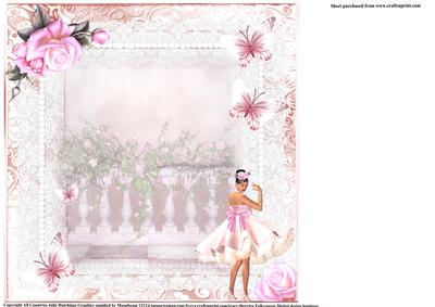 Insert to Pink Butterfly Petticoats