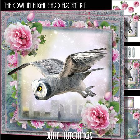 The Owl in Flight Card Front Kit