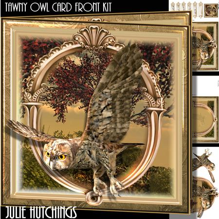 The Tawny Owl Card Front Kit