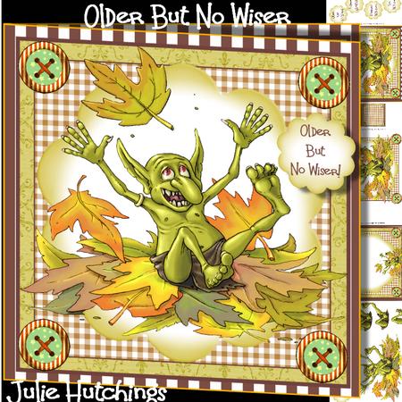 Older But No Wiser! Card Front Kit