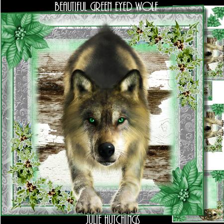 Beautiful Green Eyed Wolf Card Front Kit