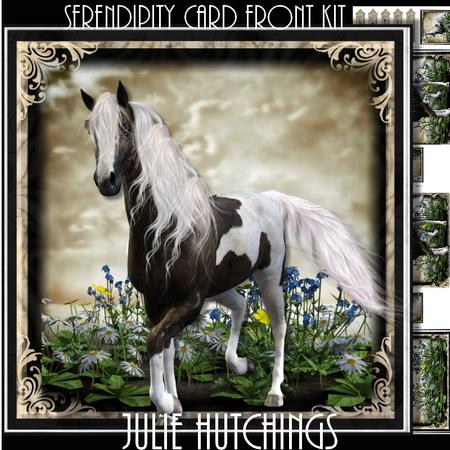 Serendipity Card Front Kit