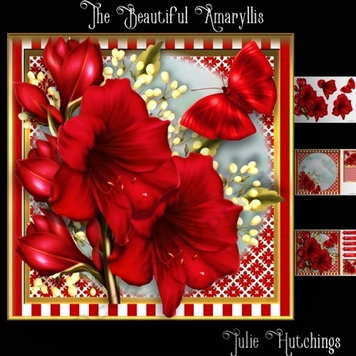 The Beautiful Amaryllis Card Front Kit