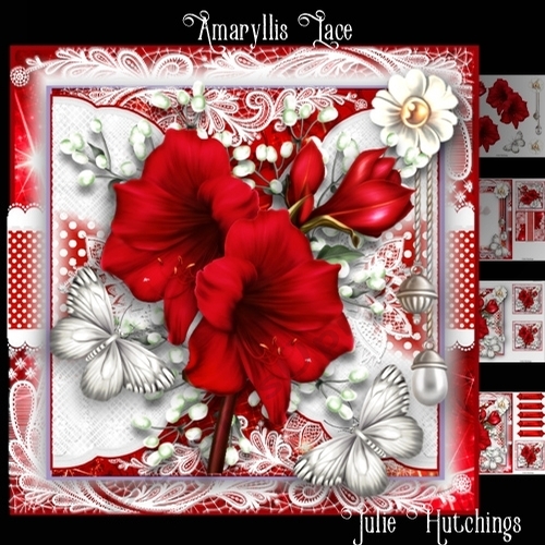 Amaryllis Lace Card Front Kit