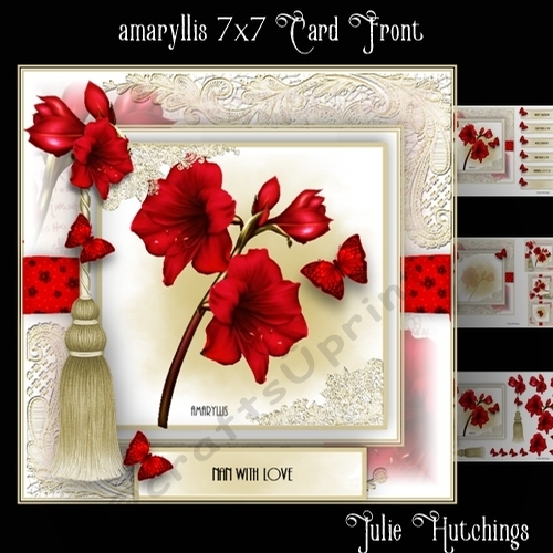 Amaryllis 7x7 Card Front Kit