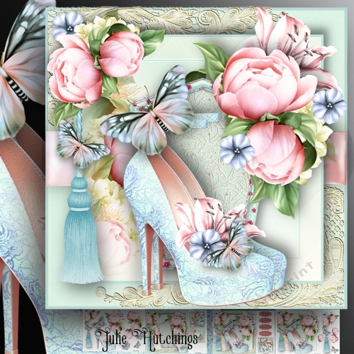 The Pink and Blue Lace Shoes 