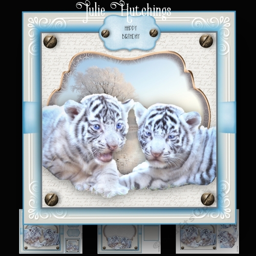 The White Tiger Cubs Card Kit