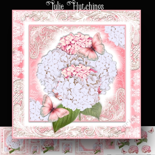 Beautiful Pink and White Hydrangea Blooms