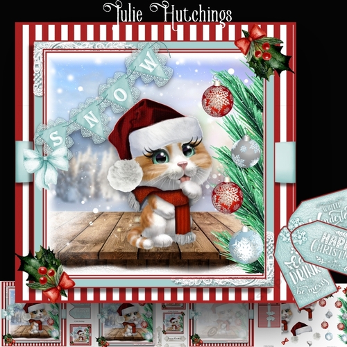 Cute Christmas Kttten Play