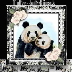 Cutest Pandas
