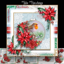 Robin Bauble Poinsettia flora