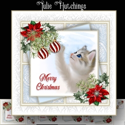 Christmas is for Kittens