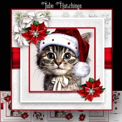 Kitty Wishes