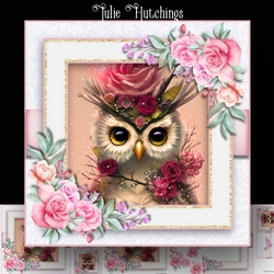 Owl Greetings