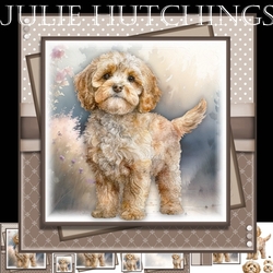 Happy dog Cavapoo