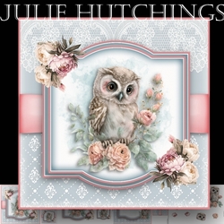 The Little Owl