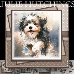 Hap Hap Happy Dog Havanese