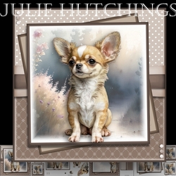 Happy dog Chihuahua