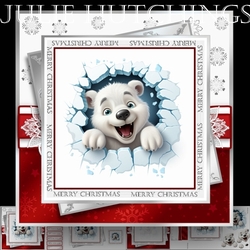 Polar Suprise
