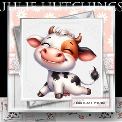 Cow Old??