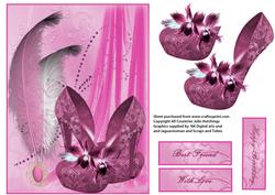Pink Shoes and Feather Card Front