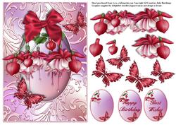 Fushia Swirl Frame Card Front