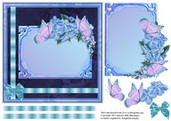 Pretty Forget-me-not