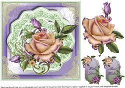 Gorgeous Peach Rose and Butterfly's on Lilac