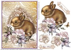 Cute Little Bunny Card Front