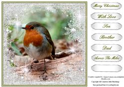 The Red Red Robin Card Topper