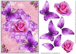Gorgeous Butterfly's in Mauves with Pink Roses