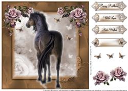 True Beauty 8x8 Horse Card Topper